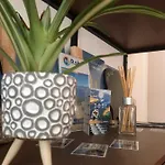 Riviera And Guest house Palit
