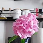 Guest house Riviera And 4*