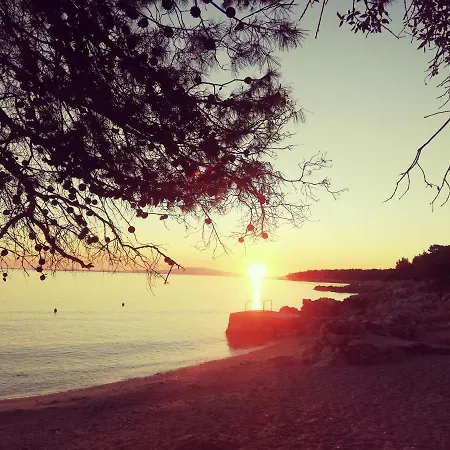 Riviera And 4* Palit