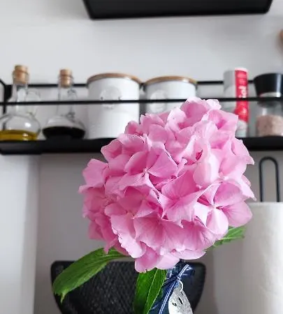 Gasthuis Riviera And 4*