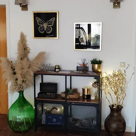 Riviera And 4* Palit